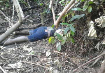 Pegawai Bank BPR Kasimbar Ditemukan Tewas di Semak-Semak