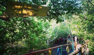 Baru Diresmikan, Hutan Mangrove Donggala Jadi Daya Pikat Baru Pariwisata