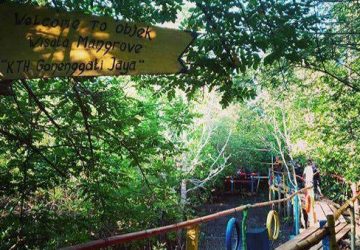 Baru Diresmikan, Hutan Mangrove Donggala Jadi Daya Pikat Baru Pariwisata