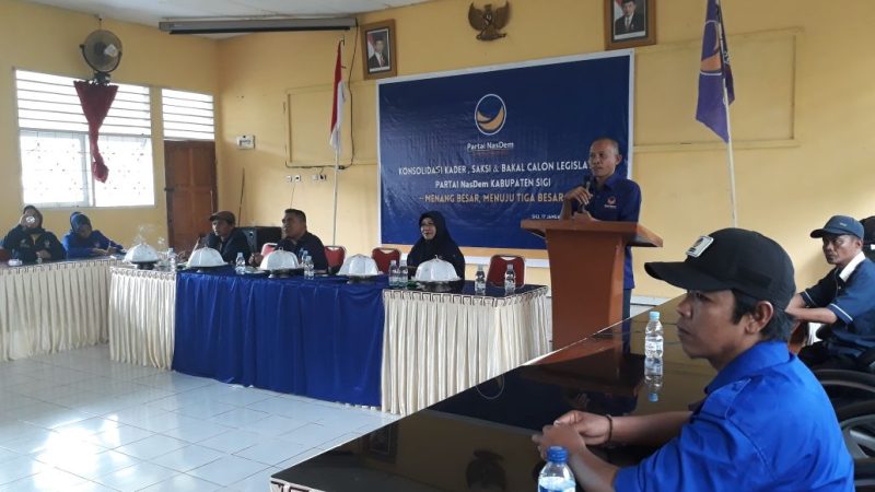 NasDem Sigi Targetkan Menang di Pileg 2019
