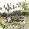 BUMDes Mutianggaluku Kalukubula Kini Menjadi Distributor Sejumlah Bahan Pangan