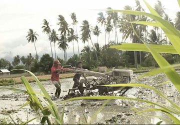 BUMDes Mutianggaluku Kalukubula Kini Menjadi Distributor Sejumlah Bahan Pangan