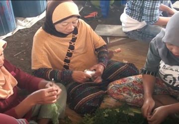 Pemdes Lolu Jadikan Kelor Sumber Pendapatan Masyarakat