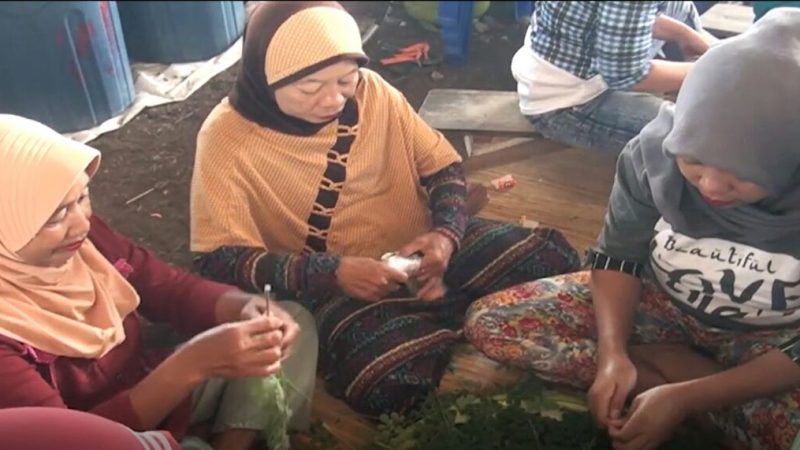 Pemdes Lolu Jadikan Kelor Sumber Pendapatan Masyarakat