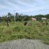 Tumbuhkan Semangat Gotong Royong, Kades Lariang Ajak Masyarakat Kerja Bakti