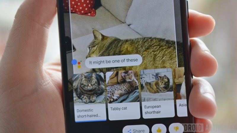 Google Lens akan Hadir di Semua Smartphone Android