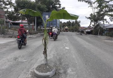 Tak Kunjung di Aspal, Warga Watusampu Tanam Pohon Pisang di Jalan