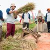 Pemerintah Siapkan KUR Triliunan untuk Pengusaha Kecil Penggiling Padi