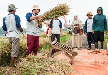 Pemerintah Siapkan KUR Triliunan untuk Pengusaha Kecil Penggiling Padi