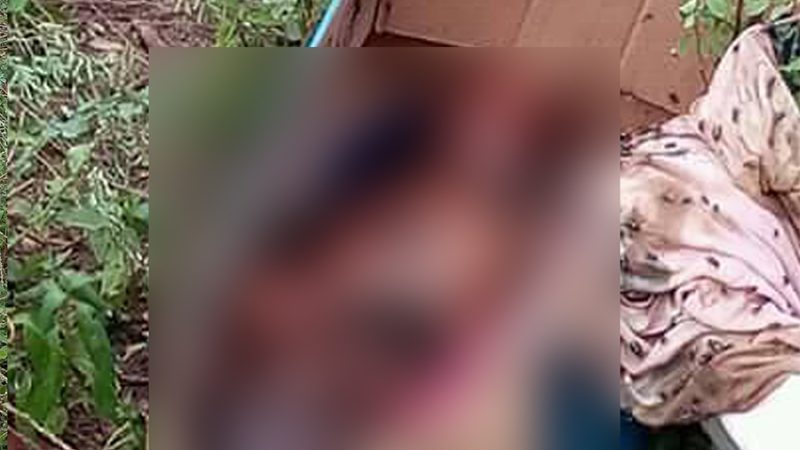 Kasus Penemuan Bayi di Mamboro, Polres Palu Mulai Panggil Saksi