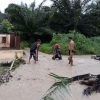 Buruknya Sistem Drainase Diduga Sebabkan Banjir di Desa Kasano
