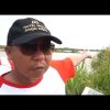 Bupati Pantau Sungai Lariang Jebol