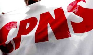 Akankah Ada Kasus ‘Hilang’ Nama di Seleksi Penerimaan CPNS 2018?
