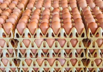 Masyarakat Keluhkan Harga Telur Ayam Naik