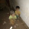 Disekap Paman di Kandang Ayam, Dua Balita Ini 3 Hari Kelaparan