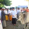 Idul Adha, Momentum Pererat Tali Persaudaraan