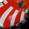 Prediksi Basarnas, Tak ada Penumpang Lion Air JT-610 yang Selamat