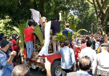 Harga Anjlok, Petani Kopra Demo
