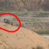 Video Sniper Gaza Tembak Tentara Israel di Kepala