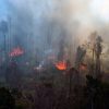 Kebakaran Hutan di Touna, 700 Warga Diungsikan