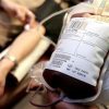 Hampir Setiap Hari PMI Makassar Temukan Pendonor Darah Terinfeksi Virus HIV/AIDS