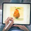 Kabar Gembira dari Adobe, Pengguna Bisa Live Streaming
