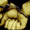 Melawan, Polisi Tembak Kaki Pelaku Pencurian di Palu
