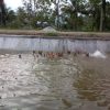 Irigasi Gumbasa Mulai di Uji Coba