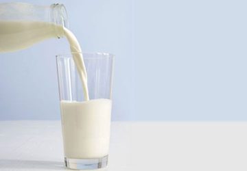 Susu Kecoak Bisa Jadi Minuman Sehat Masa Depan