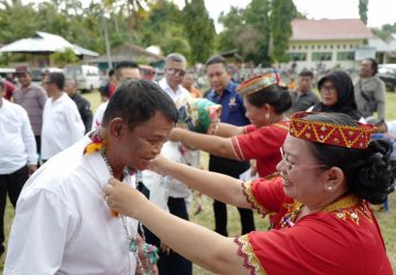 Quick Count 80 Persen : Pasangan Rusdy-Ma’mun Pemenang Pilgub Sulteng 2020
