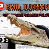 Berburu Duit dari Buaya Berkalung Ban