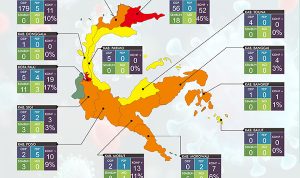 Bertambah Lagi 2 Pasien Sembuh di Sulteng, Kasus Positif Tetap 120