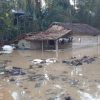 Desa Lariang Kembali Diterjang Banjir