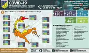 Idul Fitri, Sulteng Ketambahan 9 Orang Pasien Sembuh, Positif Tetap 120 Kasus