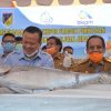 Menteri Kelautan Lepas Ekspor Perdana Tuna Sirip Kuning dari Sulteng