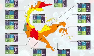 Positif Corona di Sulteng Bertambah 20, Terbanyak di Palu, Parimo dan Donggala Jebol