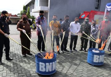 HANI 2020, BNNP Maluku Utara Musnahkan Barang Bukti Narkoba