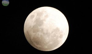 Jangan Lewatkan! Sabtu 6 Juni akan Terjadi Gerhana Bulan Penumbra