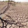 BMKG: 69% Wilayah Alami Musim Kemarau, 4 Kabupaten Berstatus AWAS Kekeringan Meteorologis