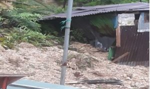 11 Warga Meninggal Akibat Tanah Longsor di Tarakan