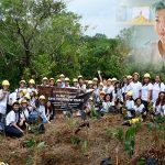 Penggemar BTS Gelar Aksi Tanam Pohon untuk Rayakan Ulang Tahun Kim Namjoon