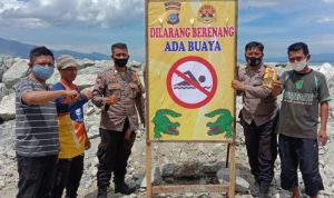 Banyak Buaya, Warga Dilarang Berenang di Teluk Palu