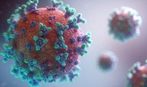 Virus Corona B.1.1.7 Sudah Masuk Karawang, Warga Diminta tidak Panik
