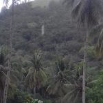 Desa Pulu Akan Jadi Percontohan Agroforestry Berbasis Komunitas
