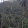 Desa Pulu Akan Jadi Percontohan Agroforestry Berbasis Komunitas
