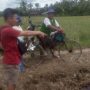 Petani Kec. Bolano Lambunu Antisipasi PETI Kembali Beroperasi