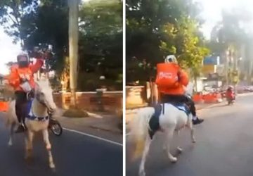 Seperti The Walking Dead, Driver Antar Makanan Ini Menggunakan Kuda Untuk Mengantarkan Makanannya