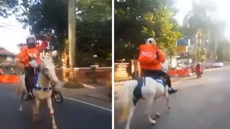 Seperti The Walking Dead, Driver Antar Makanan Ini Menggunakan Kuda Untuk Mengantarkan Makanannya
