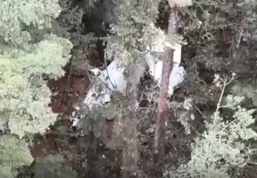 Semua Kru Pesawat Rimbun Air Dipastikan Meninggal Dunia