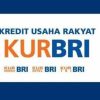 Bantuan UMKM Berlanjut, Ini Cara dapat KUR 100 Juta  Bunga 3 Persen Tanpa Jaminan